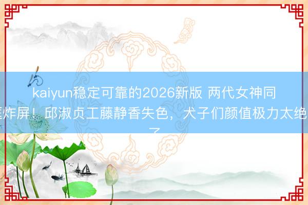 kaiyun稳定可靠的2026新版 两代女神同框炸屏!邱淑贞工藤静香失色,犬子们颜值极力太绝了