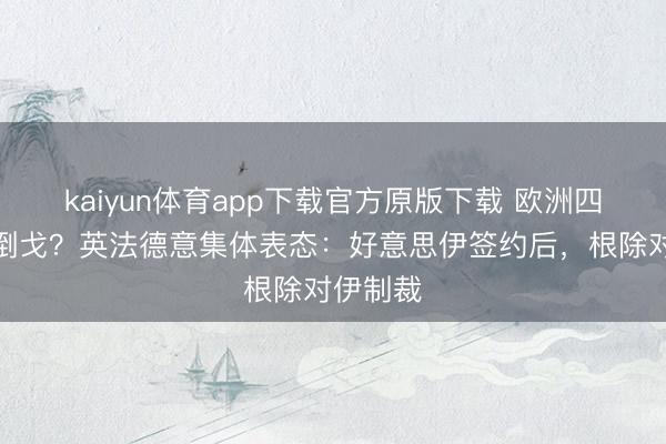 kaiyun体育app下载官方原版下载 欧洲四国蓦然倒戈?英法德意集体表态:好意思伊签约后,根除对伊制裁