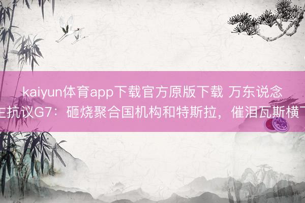 kaiyun体育app下载官方原版下载 万东说念主抗议G7：砸烧聚合国机构和特斯拉，催泪瓦斯横飞